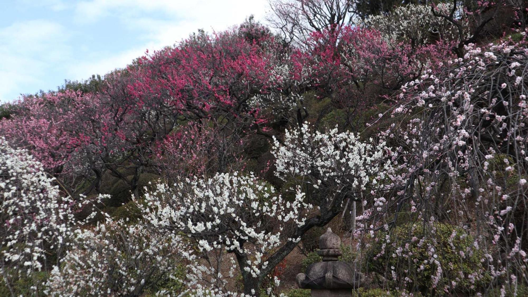 Toyoko Kamata Higashi-guchi 3* Tokio
